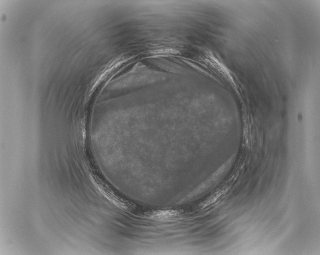 X0000059250059200511041344