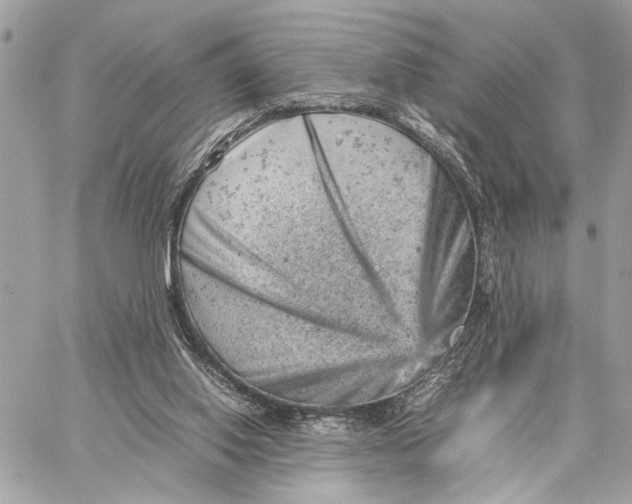 X0000059250062200511041344