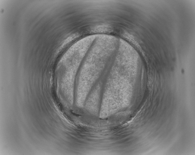 X0000059250063200511041344