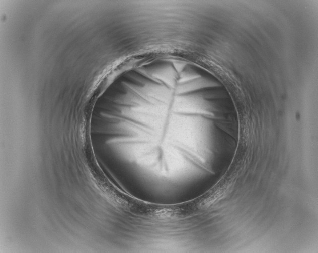 X0000059250064200511041344