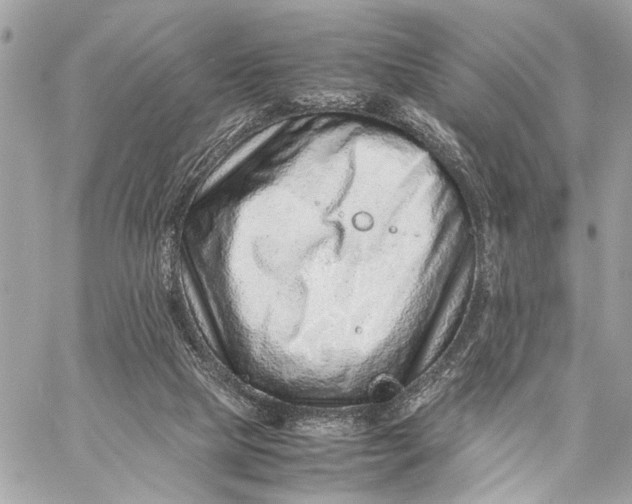 X0000059250065200511041344