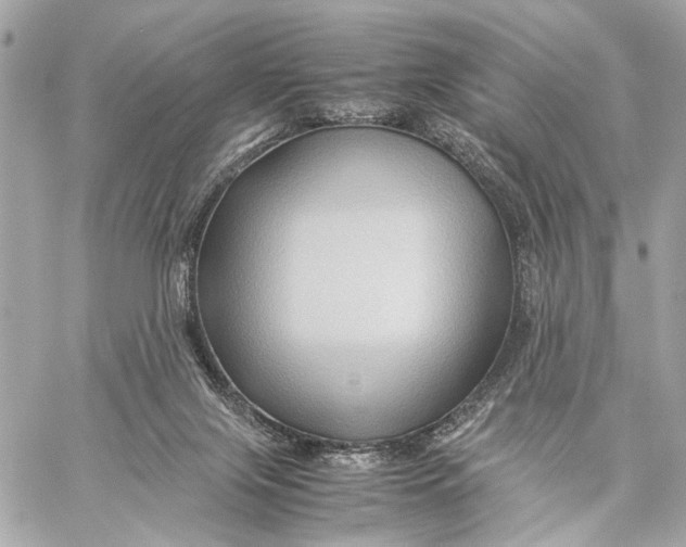 X0000059250071200511041345