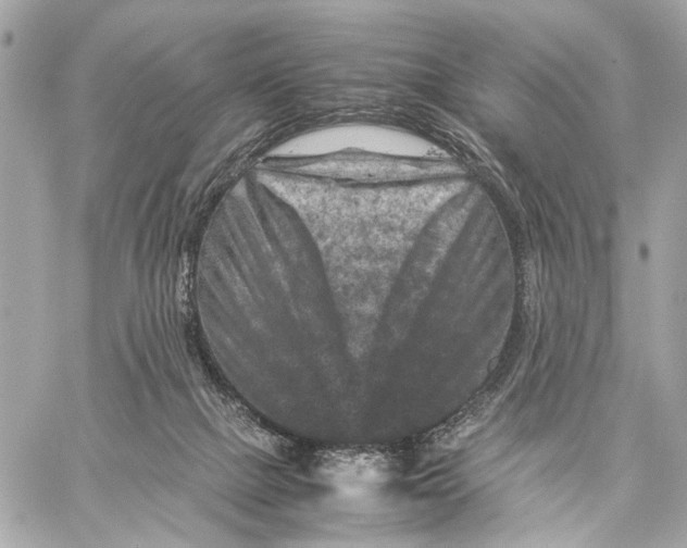 X0000059250073200511041345