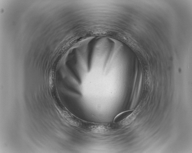 X0000059250074200511041345