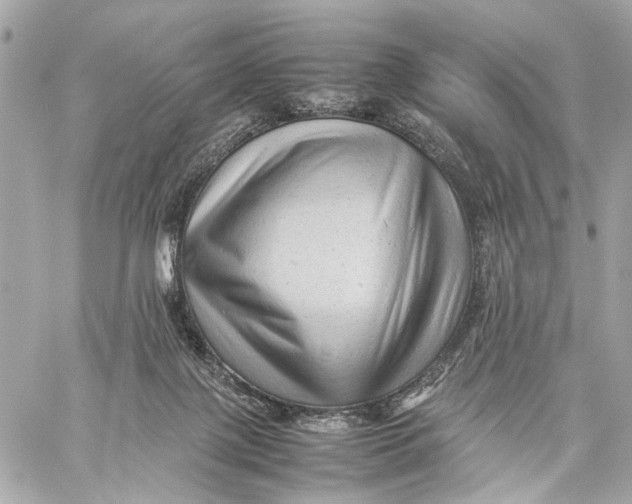 X0000059250075200511041345