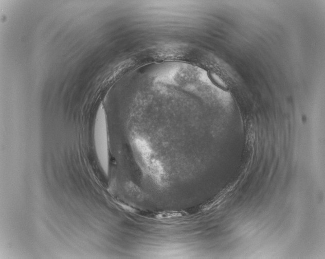 X0000059250076200511041345