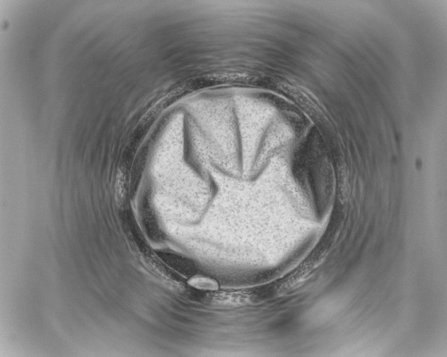 X0000059250077200511041345