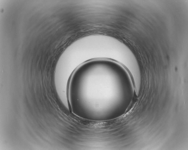 X0000059250078200511041345