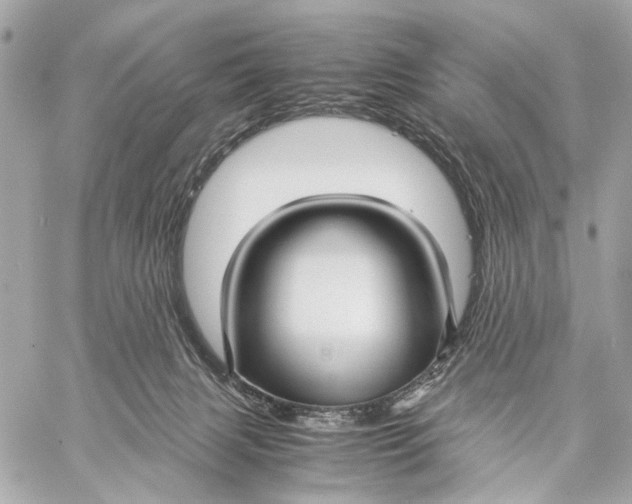 X0000059250079200511041345