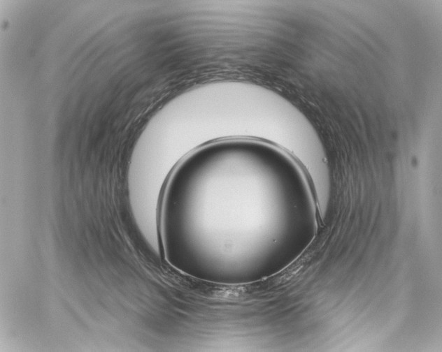 X0000059250080200511041345