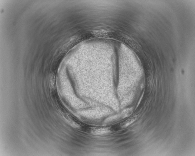 X0000059250081200511041345