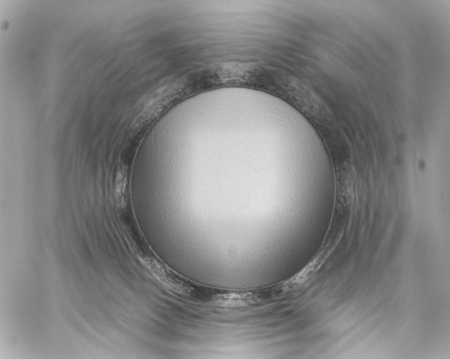 X0000059250082200511041345