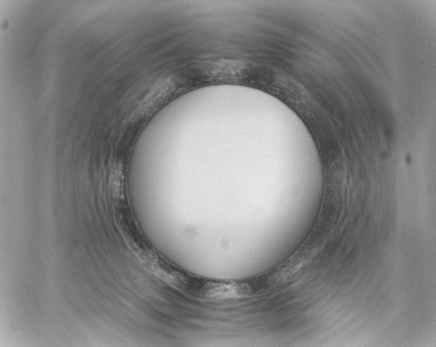 X0000059250083200511041345