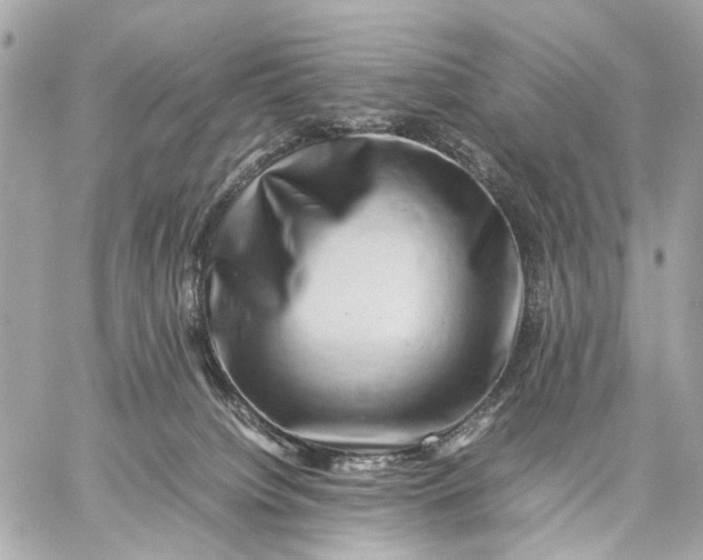 X0000059250084200511041345