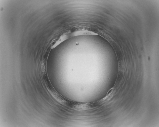 X0000059250086200511041345