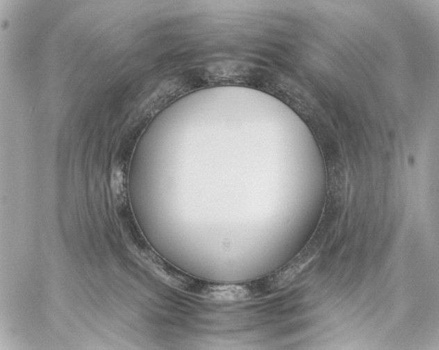 X0000059250087200511041345