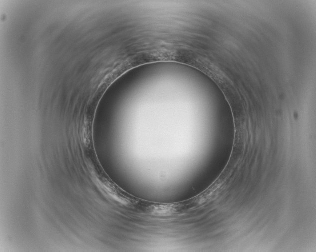 X0000059250088200511041345