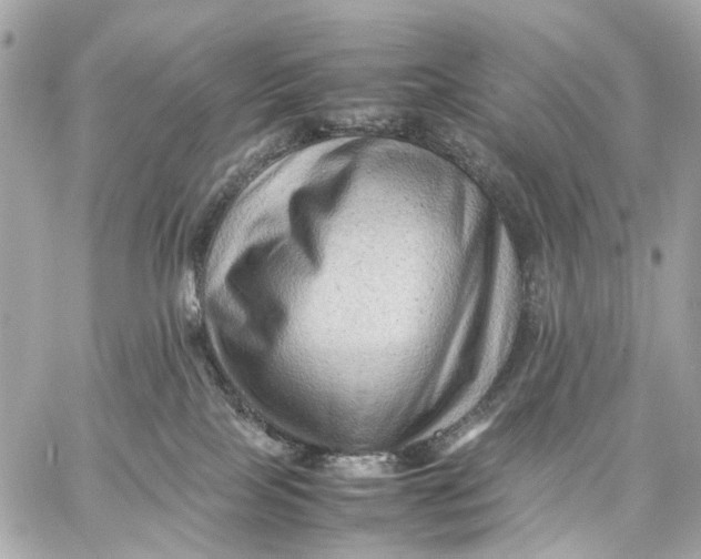 X0000059250089200511041345