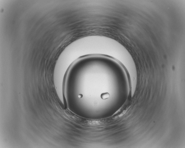 X0000059250091200511041345