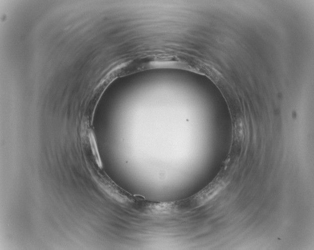 X0000059250092200511041345