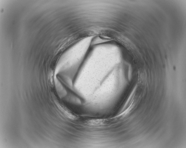 X0000059250094200511041345