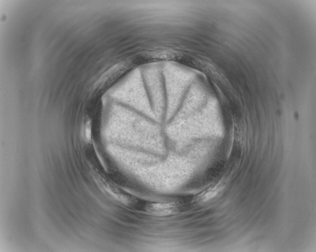 X0000059250095200511041345