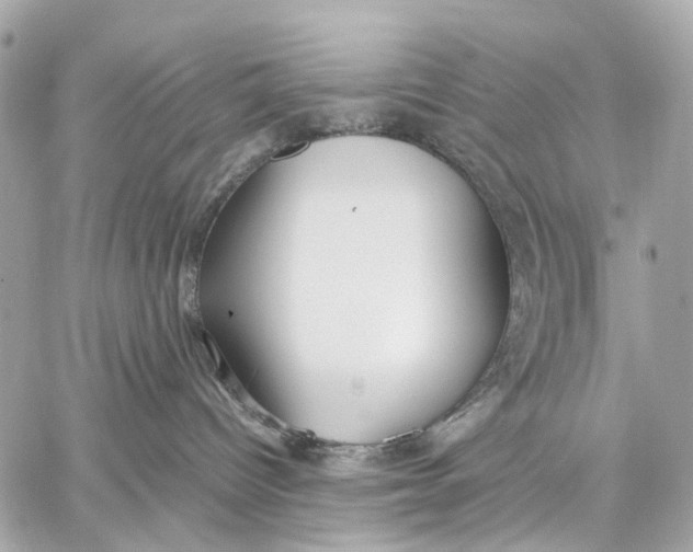 X0000059250096200511041345