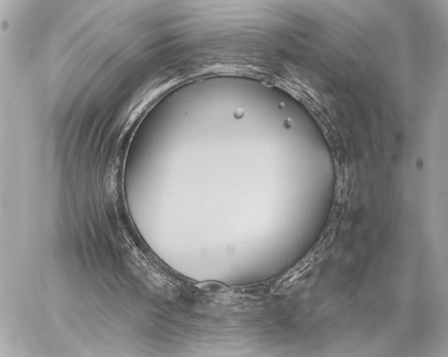 X0000059250098200511041344