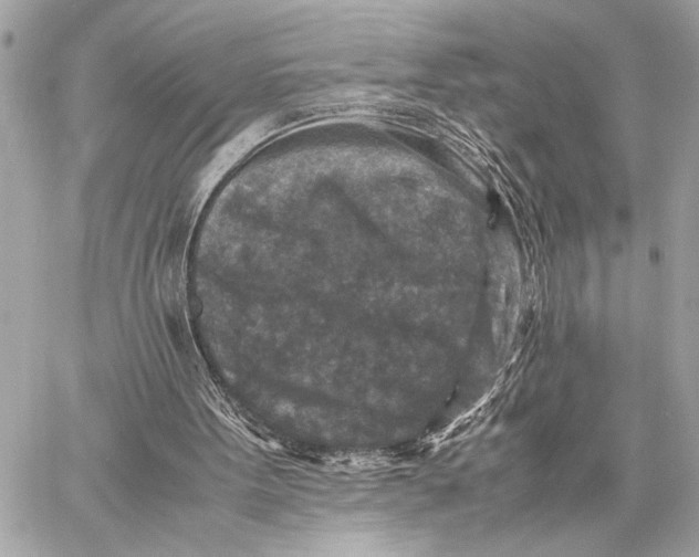 X0000059250099200511041344