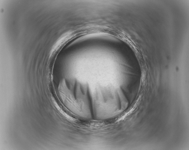 X0000059250101200511041344