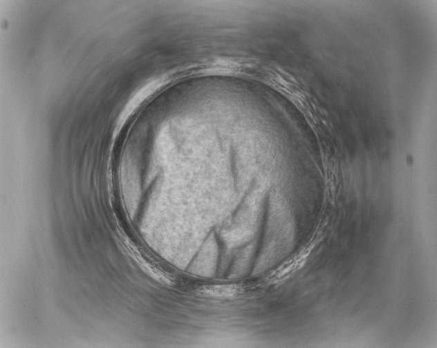 X0000059250102200511041344