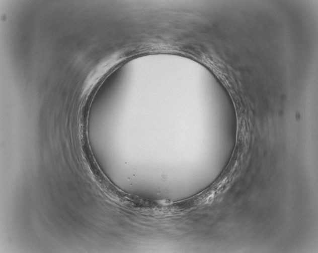 X0000059250103200511041344