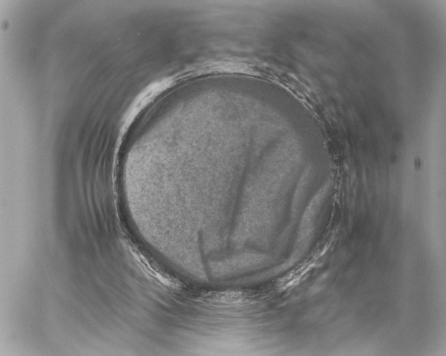 X0000059250104200511041344