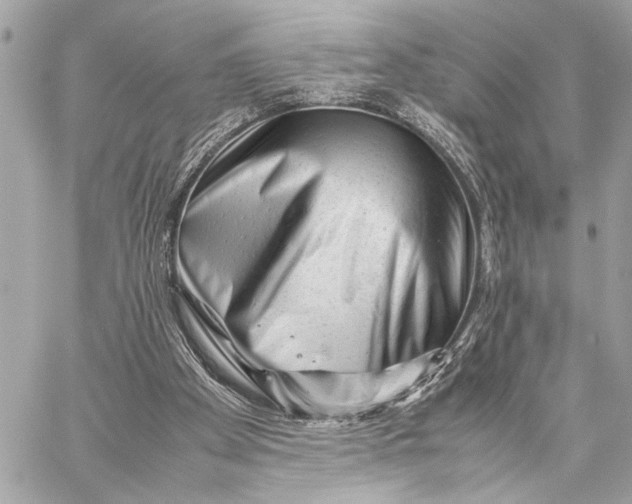 X0000059250105200511041344