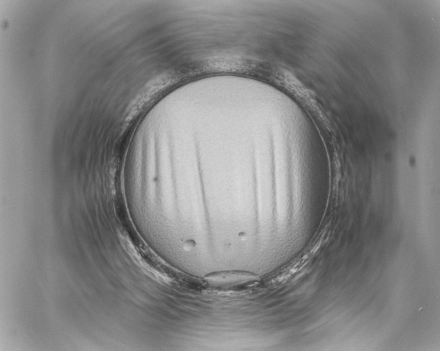 X0000059250106200511041344