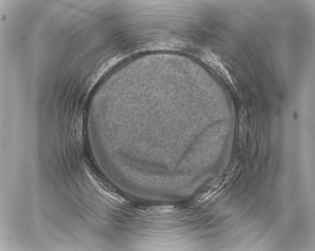 X0000059250108200511041344