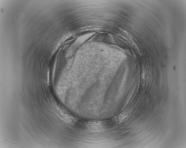 X0000059250110200511041344