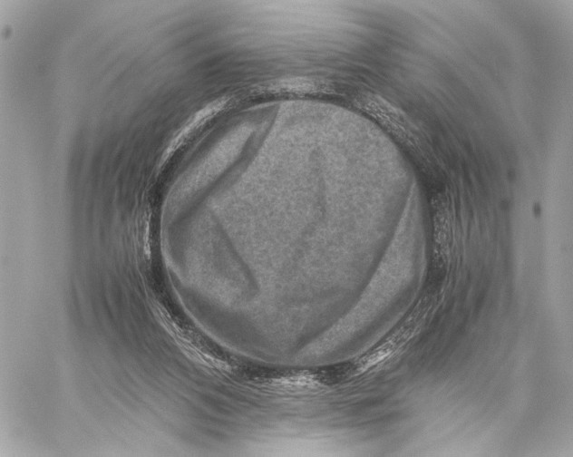 X0000059250112200511041344