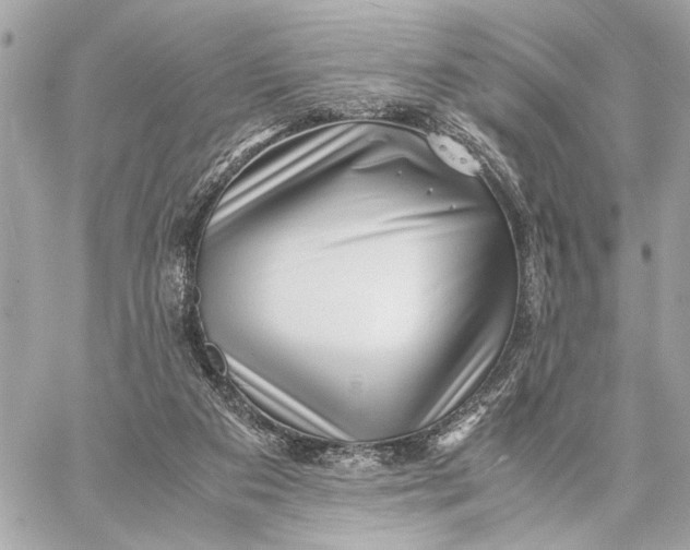 X0000059250113200511041344