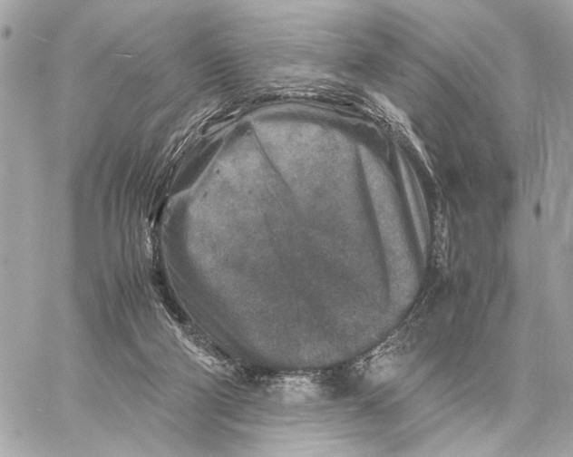 X0000059250114200511041344