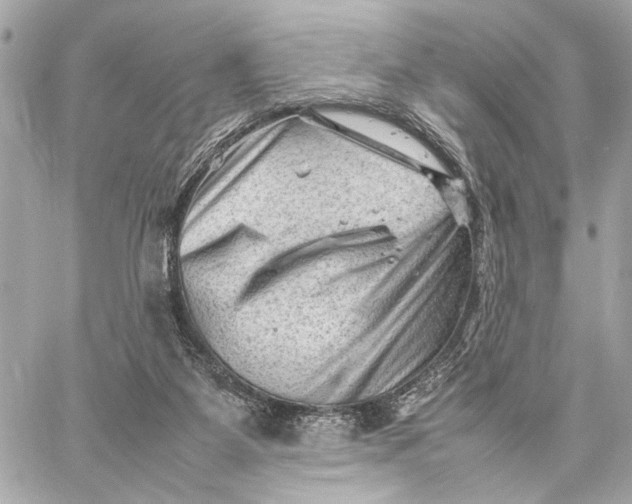 X0000059250115200511041344