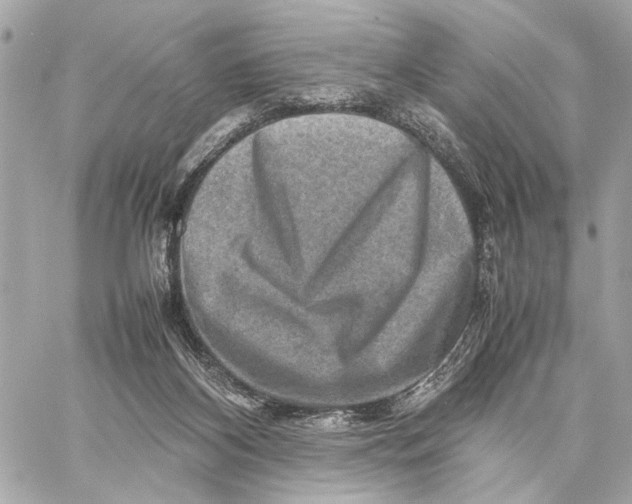 X0000059250116200511041344