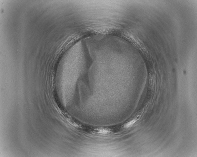 X0000059250117200511041344