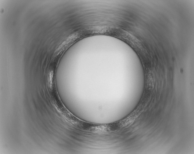 X0000059250118200511041344