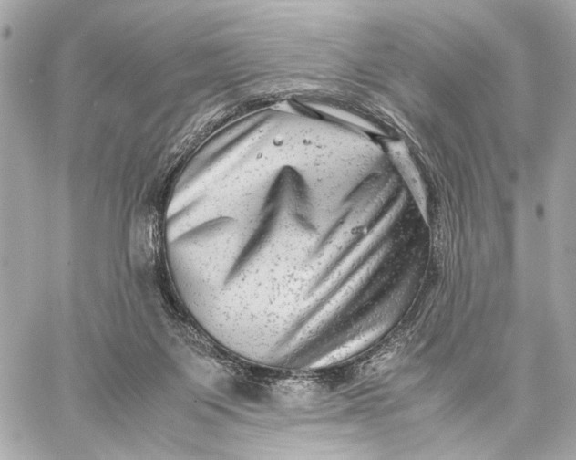 X0000059250119200511041344