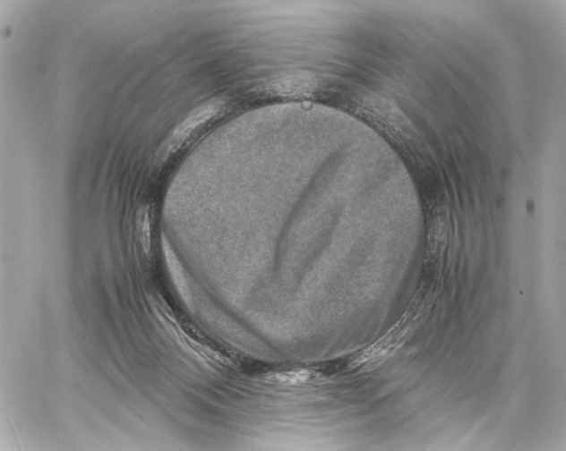 X0000059250120200511041344