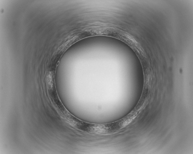 X0000059250121200511041344