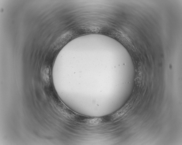 X0000059250122200511041344