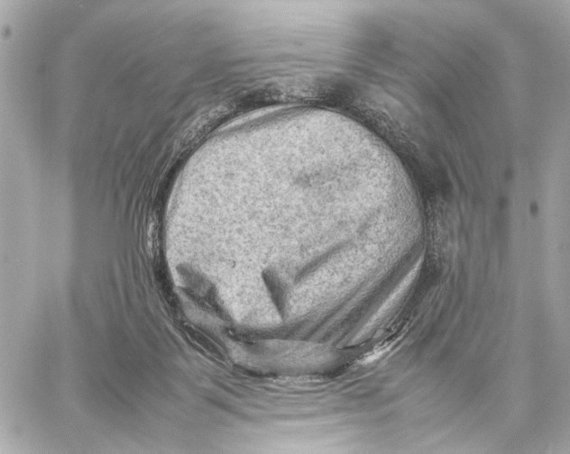 X0000059250123200511041344