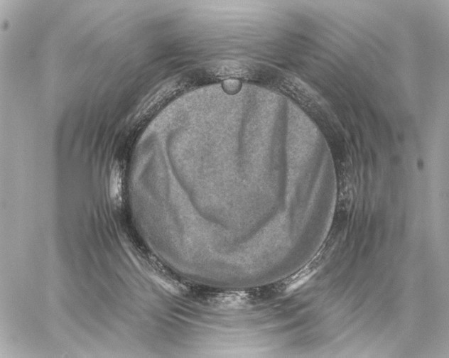 X0000059250124200511041344